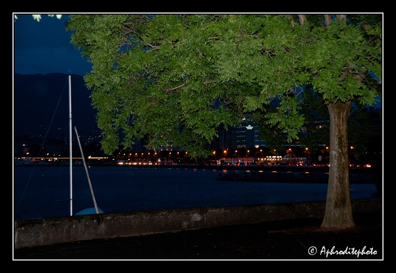 163 Ambiance nocturne au quai Wilson vue du parc Perle du Lac